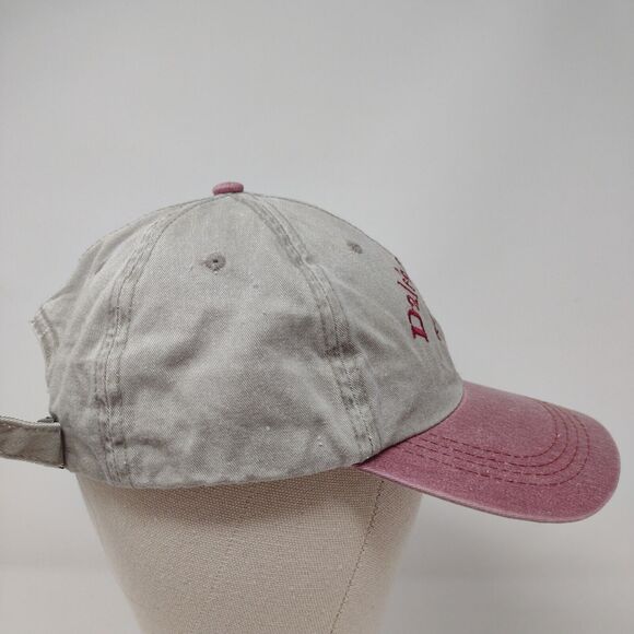 Dale's Crane Inc. Slideback Hat Multi OSFA Colorblock Port Authority - Picture 4 of 8